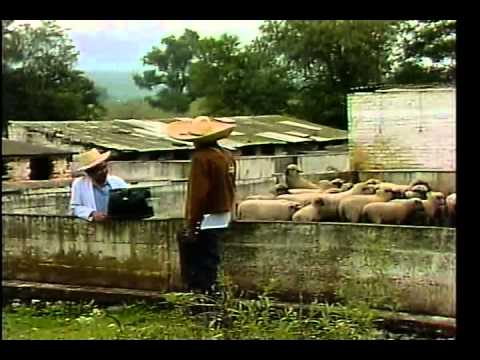 El que sabe sabe video 3