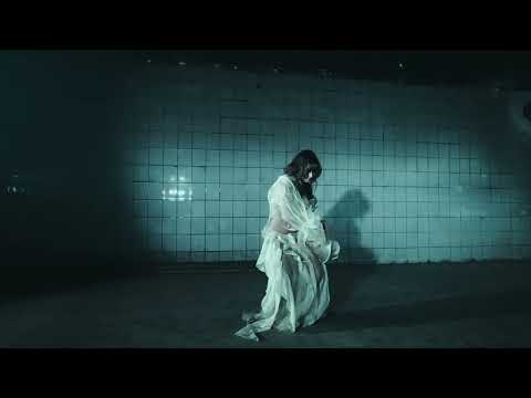 Nicklas Sahl - Fall From the Stars (Official Music Video)