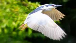 Don&#39;t turn off the lights - Enrique Iglesias