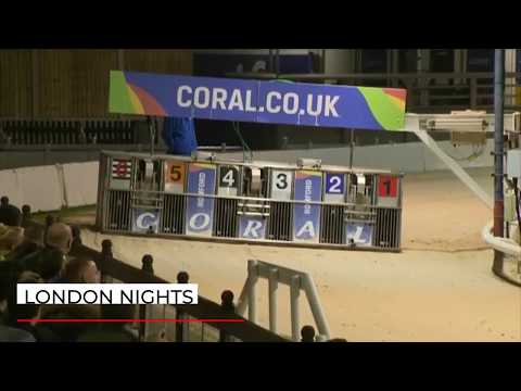 London Nights - EMILY WALLIS 16TH BIRTHDAY STAKES