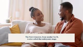 Pregnancy Trimesters Explained | UCLA Health BirthPlace