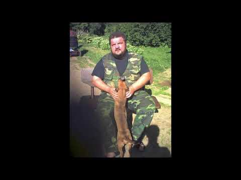 Aldis Drēģeris - Liepas satumst.