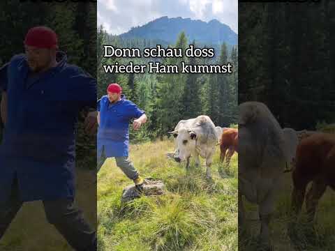 Bianca ist beleidigt