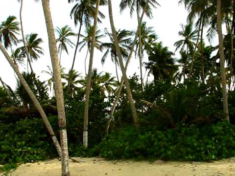 Amigos queridos en Choroní, Venezuela