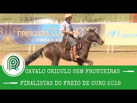 Rio de Janeiro encerra as etapas do Freio de Ouro 2018