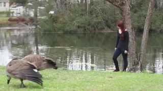 Brigades "Under My Skin" Montage Video