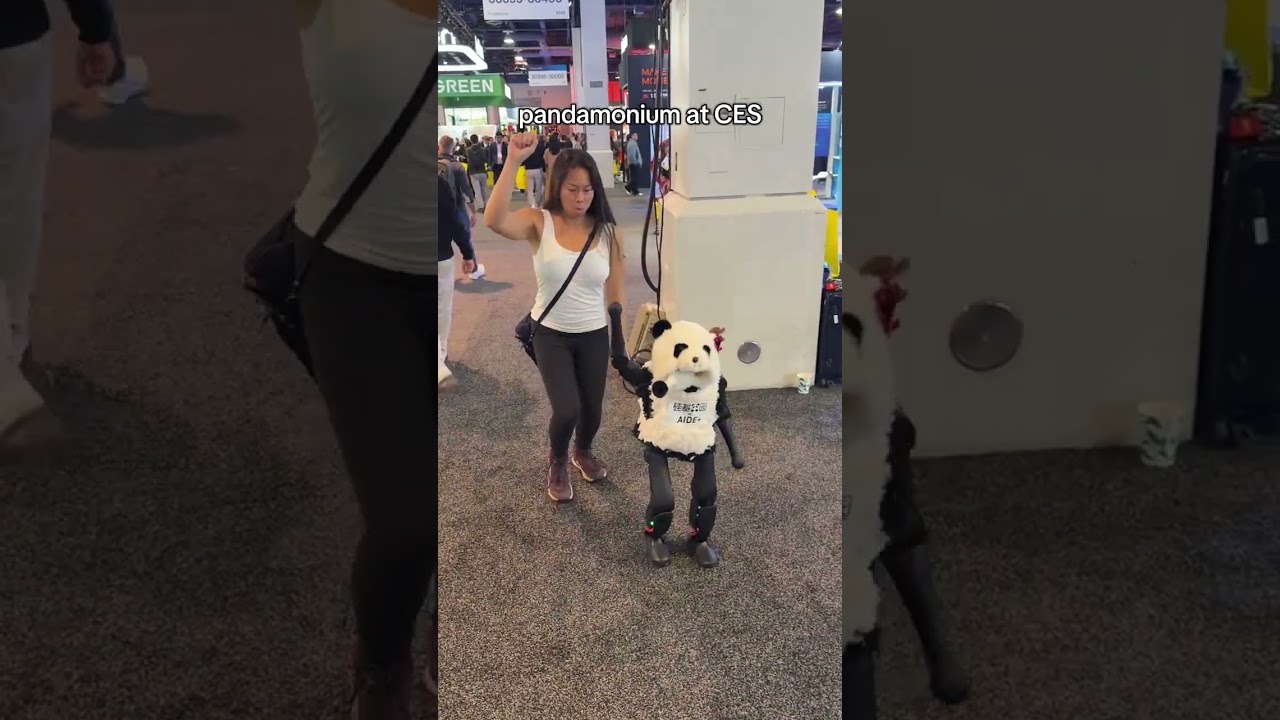 Panda robot #robot #ces2026 #panda #ai