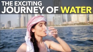 The Exciting Journey of Water