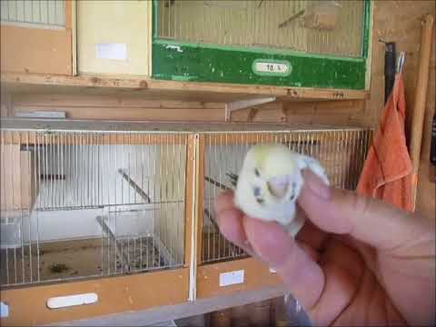 2018 05 08 Ein neuer TCB