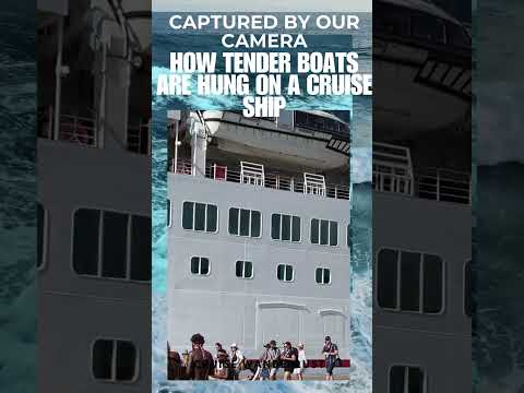 Thumbnail for HOW TENDER BOATS ARE HUNG: #cruiseexperiences #cruiselife #travel #cruiseadventures