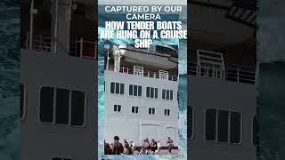 HOW TENDER BOATS ARE HUNG: #cruiseexperiences #cruiselife #travel #cruiseadventures