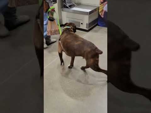 cool boxer ready to play #Aneeq khan informative