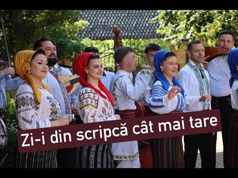 Ansamblul Doina - Zi-i din scripcă cât mai tare