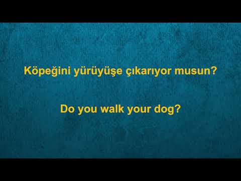 Learn Turkish While You Sleep 😴 Daily Life In Turkish 💤 Turkish Conversation (8 Hours)