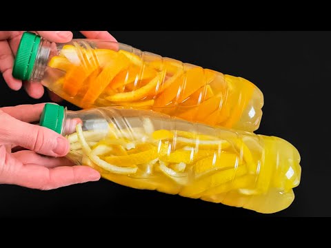 Natural antibiotics will cure many diseases. Never throw away lemon and orange peels