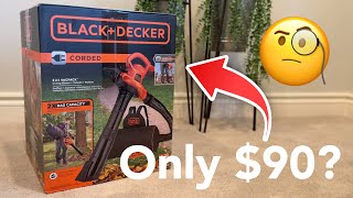 Tech Review: Is this Black + Decker Leaf Vacuum worth it