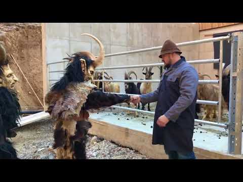 Mehlstein Teufel - Trailer 2018/19