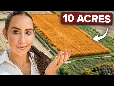 Why I’m Buying UNWANTED Land (And You Should Too)