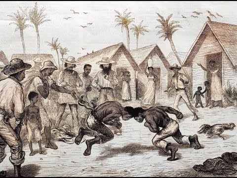 Mandigo Fighting