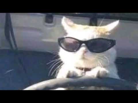 YO QUIERO COMERTE - T13CE - PANA - KAIMANN