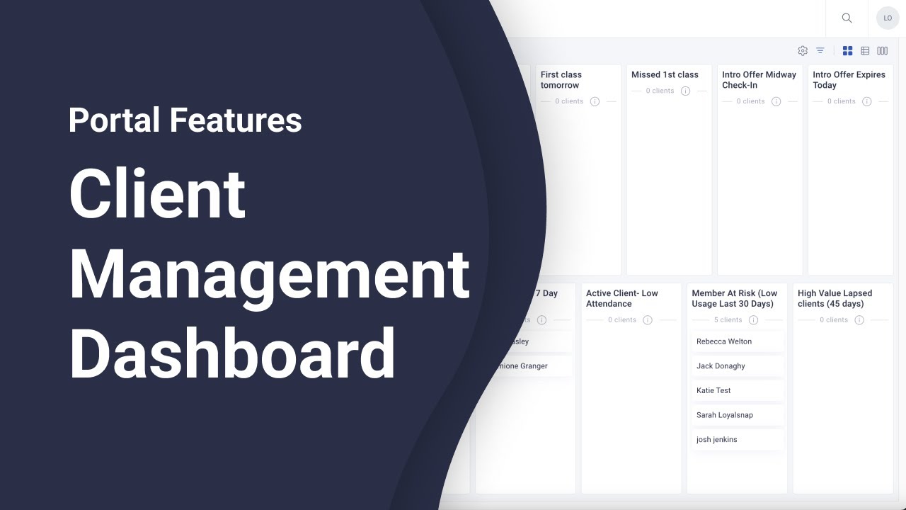 Client Management Dashboard Overview
