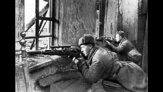 История противостояния советских и германских снайперов во время Сталинградской битвы.
