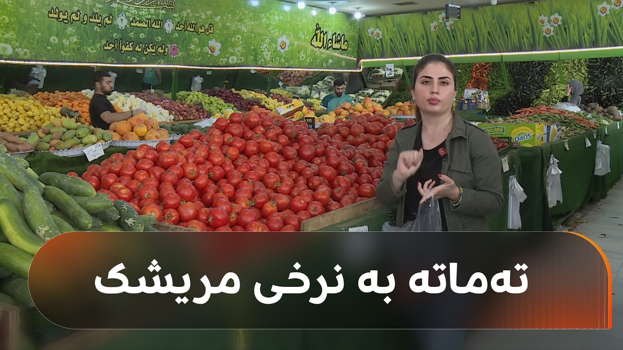 ڤیدیۆ | تەماتە گران بووە و کیلۆیەکی لە بازاڕ بە 2,500 دینارە؛ "خەڵکی بۆ سەیرانیش نایکڕن"
