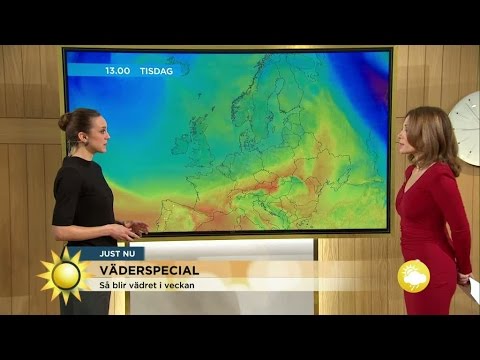 "Regn i söder och snö i norr" - Nyhetsmorgon (TV4)