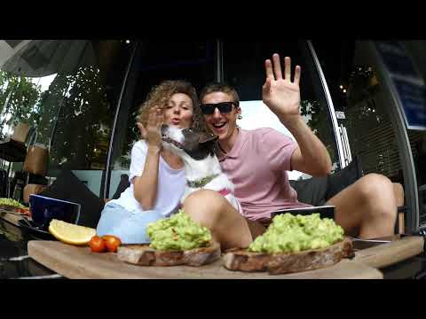 Miwuki Pet Shelter - Adopt Video