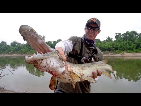 Searching for Giant Alligator Gar in Texas - ft. LakeForkGuy