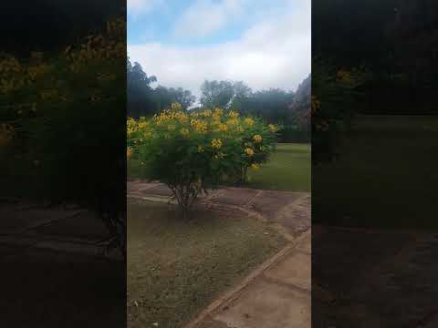 dica da praça de baco-pari Igaporã ba #dicas