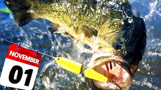 The Biggest Bass of the Year Are Biting RIGHT NOW!