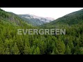 The Newbees - Evergreen (Official Music Video)