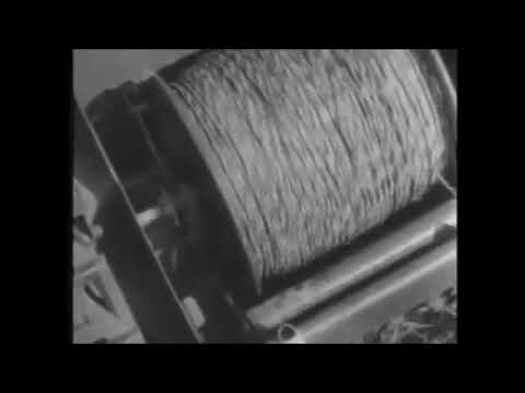 Sdkfz 302 The not so mighty Goliath