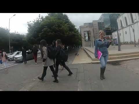 Bogotá D.C. Walking Tour August 2022:11th street, northern sector, Universities, parcs, small center