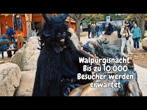 Walpurgisnacht auf dem Hexentanzplatz- Bis zu 10.000 Besucher werden erwartet