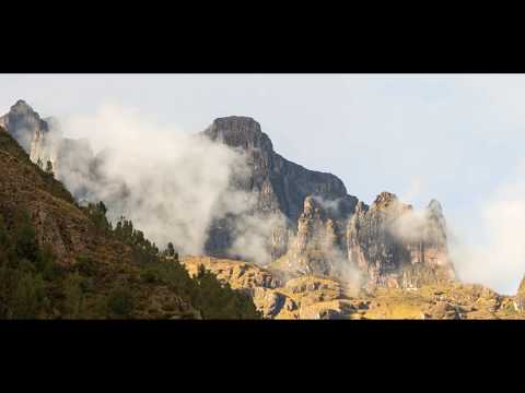Presenting Ubuntu Ayni - Healing Retreat and San Pedro ceremonies in the Sacred Valley