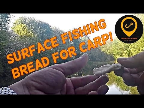 Surface fishing bread for Carp!