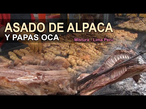 Desde Lima, Alpaca Asada y papas Oca Desde Lima, Alpaca Asada y papas Oca