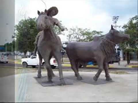 OMAR LARA APURE LINDO