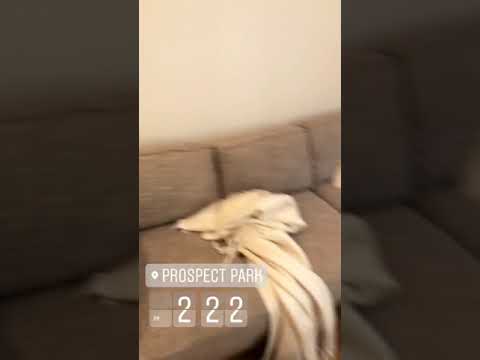 video 1