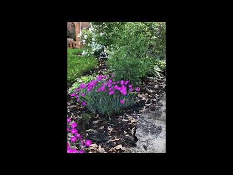 9 Leslie Ave Ft. Mitchell, KY 41011