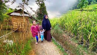 Download lagu LUAR BIASA !! Sejuk Indah Alam Desanya, Suasana Sore Di Kampung Yg Tenang, Pedesaan Sunda Jawa Barat mp3