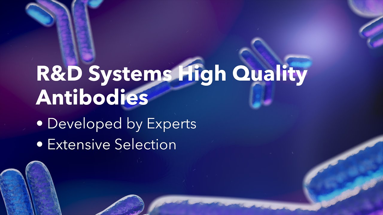 R&D Systems High-Quality Antibodies Portfolio