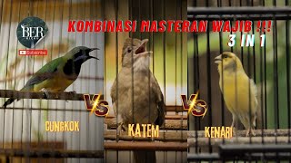 Download lagu CUCAK CUNGKOK KAPAS TEMBAK KENARI || MASTERAN WAJIB 3 in 1 !!! DIJAMIN CEPAT MASUK #masteranjernih mp3