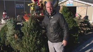 Pat Sullivan: Selecting and caring for fresh Christmas trees