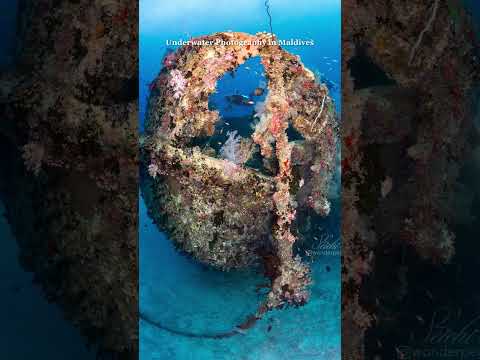 創意短影音：用秒殺創意，讓品牌霸佔目光！