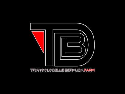 2B e Scuro - Resta vero