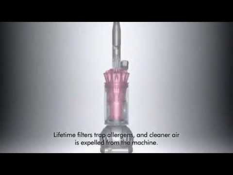 Dyson DC41 Animal Complete Upright Vacuum