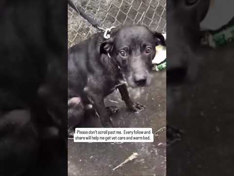 please save me link in bio #NYC#LosAngeles#Chicago#Texas#Florida#california